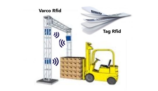 Immagine11 Immagine11